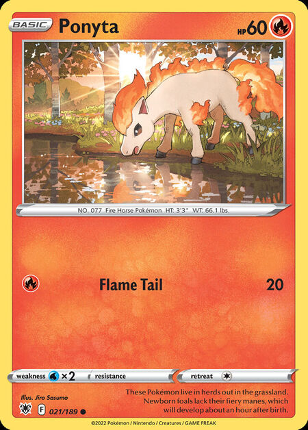 Ponyta ASR 21