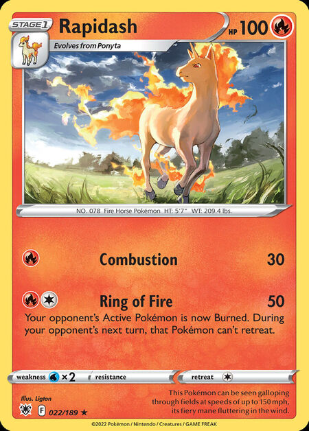 Rapidash ASR 22
