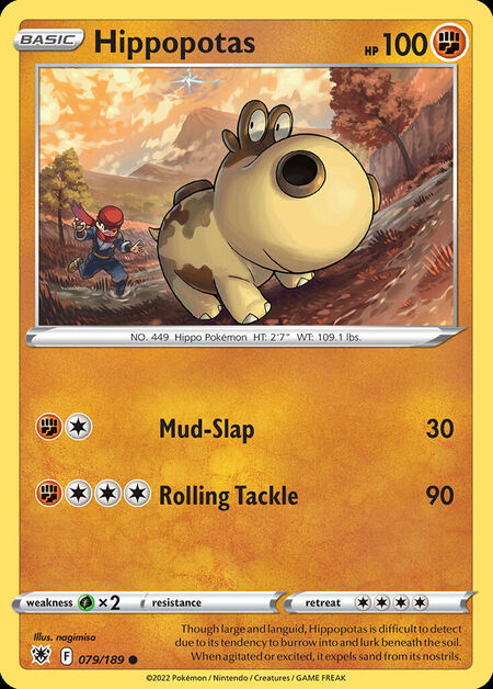 Hippopotas ASR 79