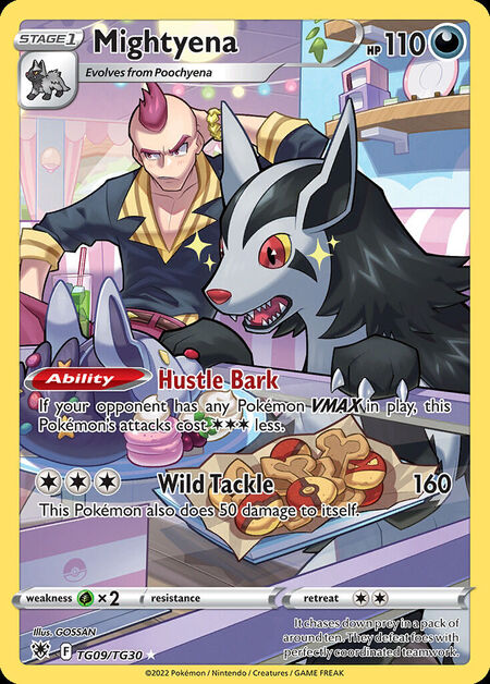 Mightyena ASR TG09
