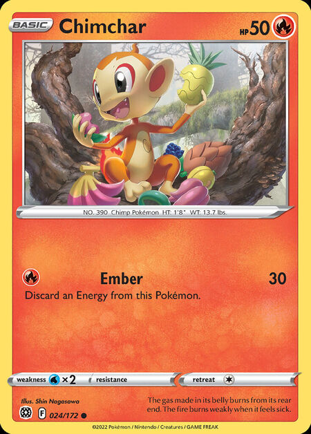 Chimchar BRS 24