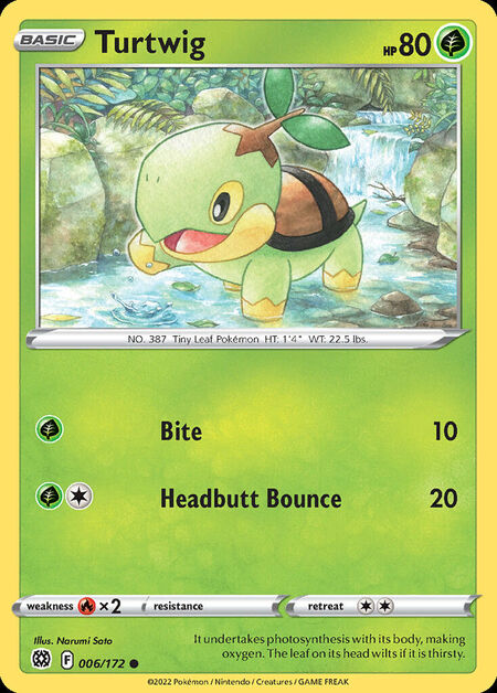 Turtwig BRS 6