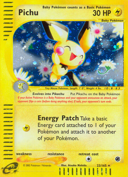Pichu Expedition 22