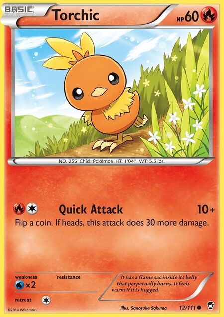 Torchic Furious Fists 12