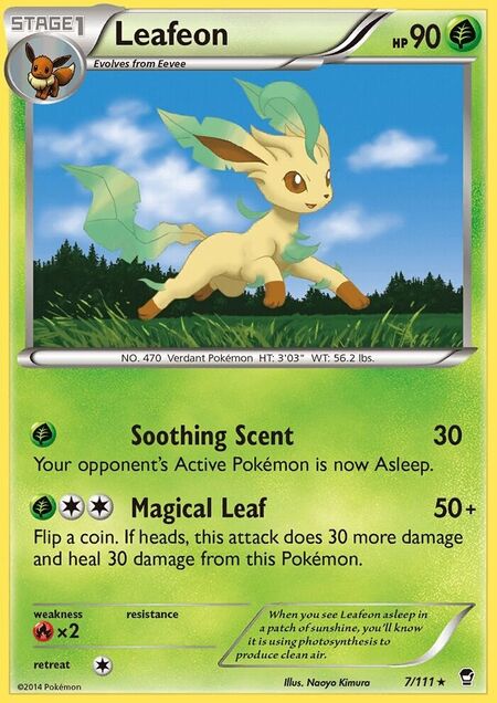 Leafeon Furious Fists 7