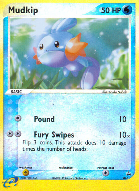 Mudkip NBSP 010