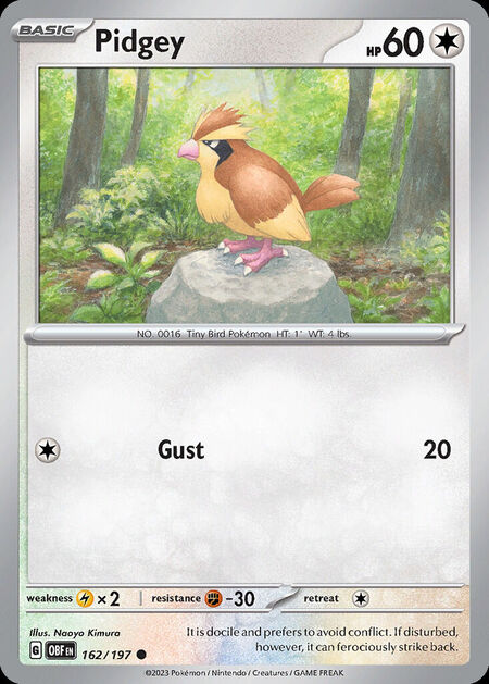 Pidgey OBF 162