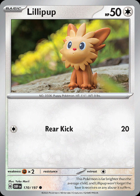 Lillipup OBF 170