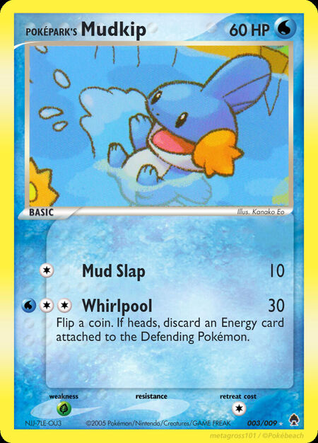 PokéPark's Mudkip PF 3