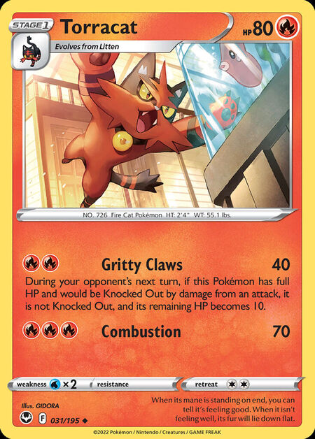 Torracat SIT 31