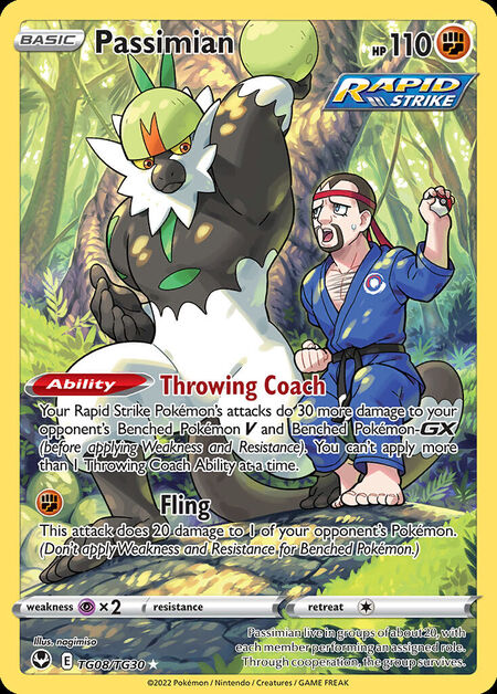 Passimian SIT TG08