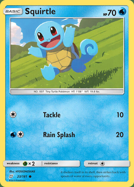 Squirtle Team Up 23