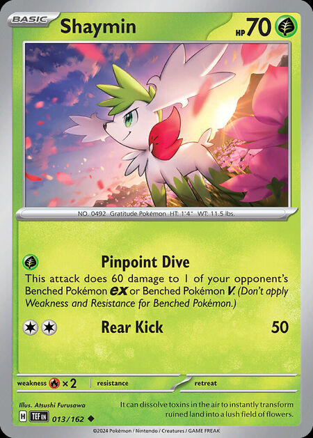 Shaymin TEF 13