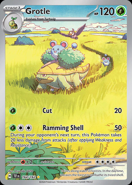 Grotle TEF 164
