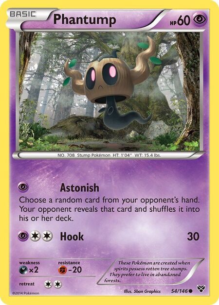 Phantump XY 54