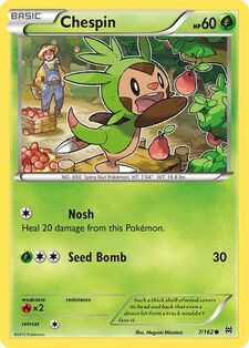 Chespin (BKT 7)