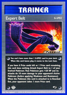 Expert Belt (MODG1 147)