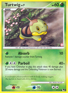 Turtwig (POP9 17)